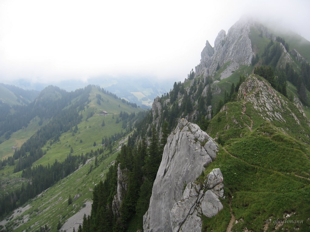 20070721_040